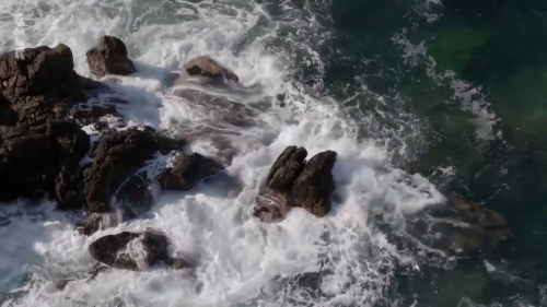 Macron-Mélenchon,Moyen-Orient, politique-de-la-Fracne, Israël.