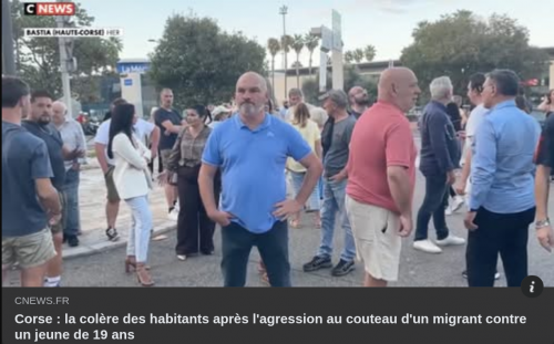 Islamo-gauchisme, immigration-extra-européenne