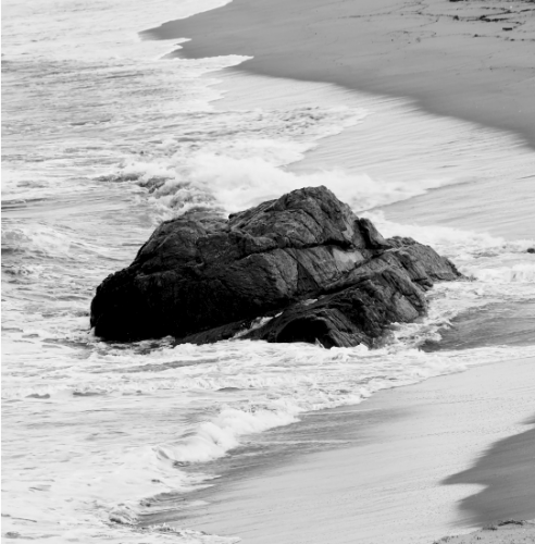 le stalinisme,  le nazisme d' Hitler et la théologie islamique