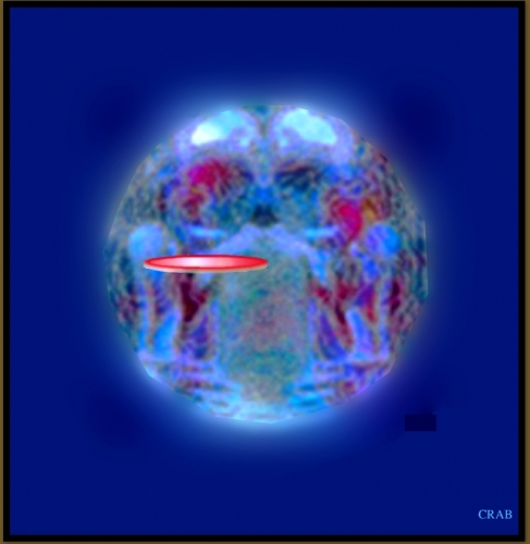 JEAN-MONNET,EUROPE,HISTOIRE,VIES-PARALLÈLES