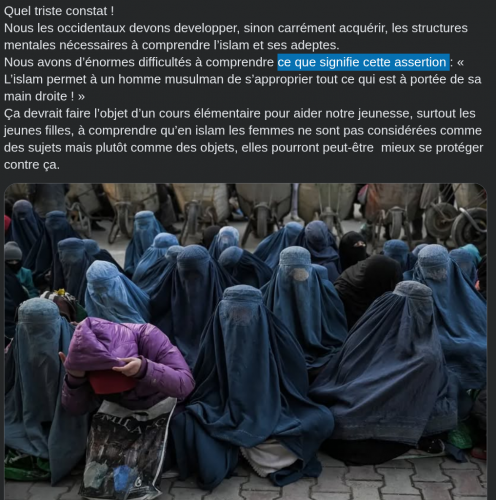 INQUISITION-MAHOMÉTANE, GAUCHISME-CULTUREL, INQUISITION -MUSULMANE, RACAILLES-ANTIFAS